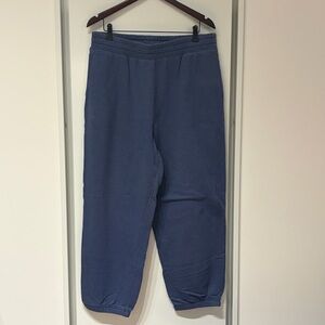 American Eagle Outfitters | Fleece Boyfriend Joggers - Blue